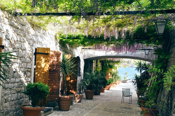 путевка в Черногорию