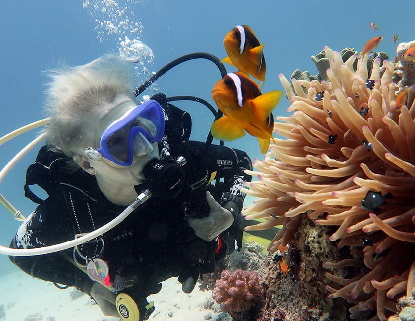 Погружения в Шарм-эль-Шейхе egypt-diving-min.jpg