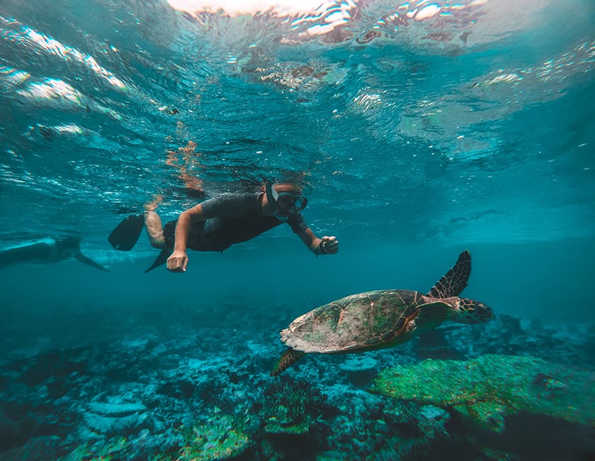 Сноркелинг в Египте egypt-snorkeling-min.jpg