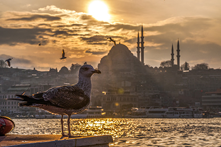 istambul-turkey-min.jpg